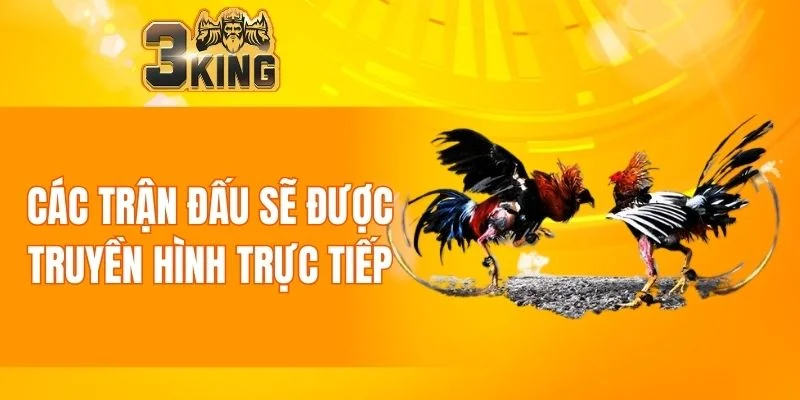 Các trận đấu sẽ được truyền hình trực tiếp