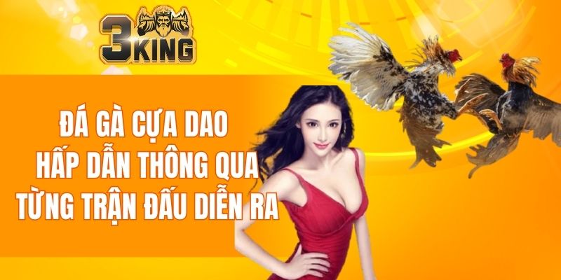 Đá Gà Cựa Dao