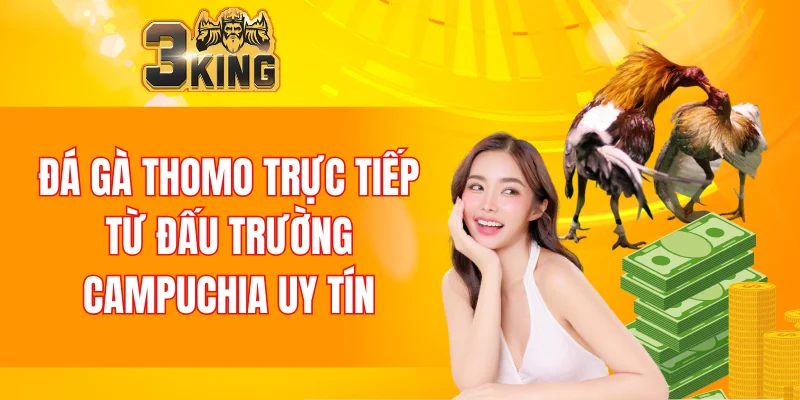 Đá Gà Thomo