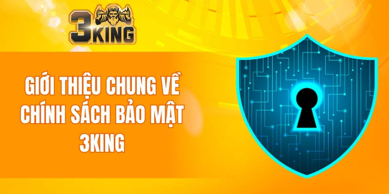 Giới thiệu chung về chính sách bảo mật 3KING cho người mới