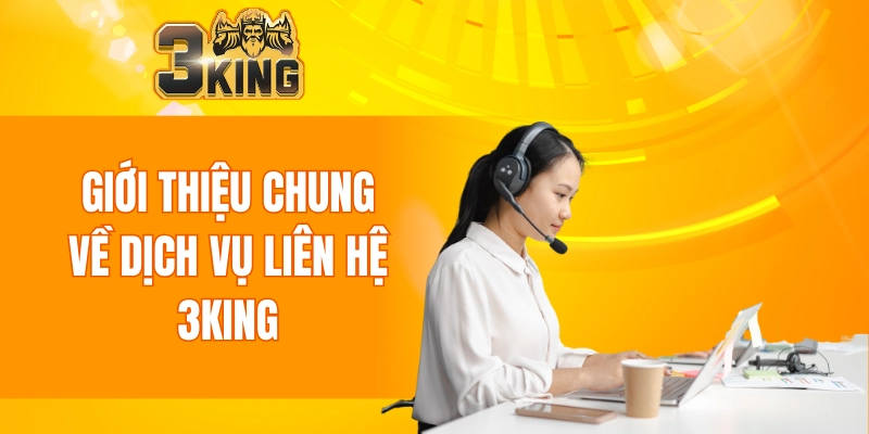 Giới thiệu chung về dịch vụ chăm sóc khách hàng liên hệ 3KING