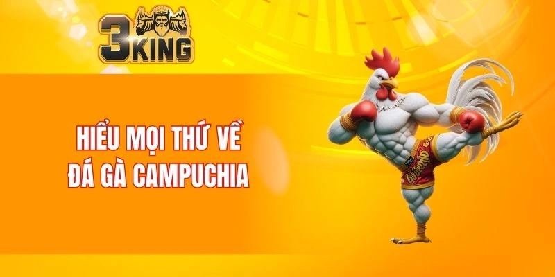 Hiểu mọi thứ về đá gà Campuchia