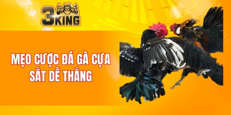 Mẹo cược đá gà cựa sắt dễ thắng