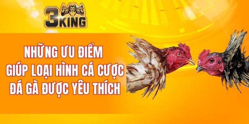 Những ưu điểm giúp loại hình cá cược đá gà được yêu thích