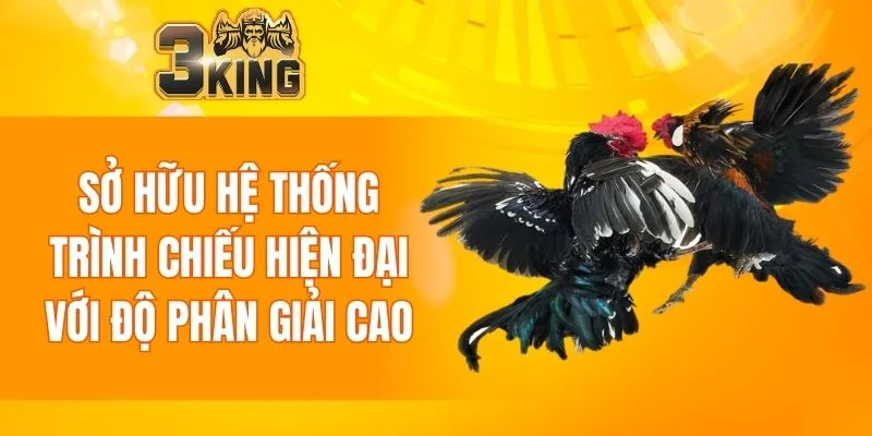 Sở hữu hệ thống trình chiếu hiện đại với độ phân giải cao