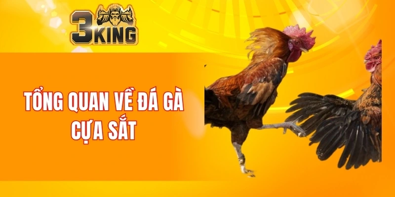 Tổng quan về đá gà cựa sắt