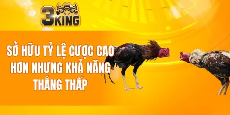Tỷ lệ cược cao hơn nhưng khả năng thắng thấp