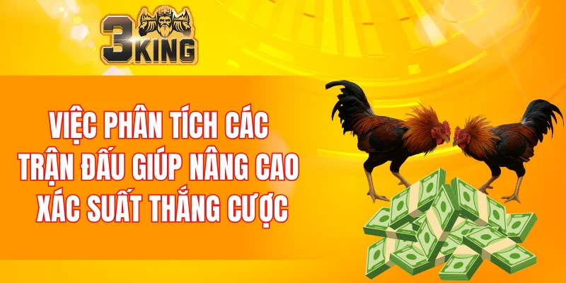 Việc phân tích các trận đấu giúp nâng cao xác suất thắng cược
